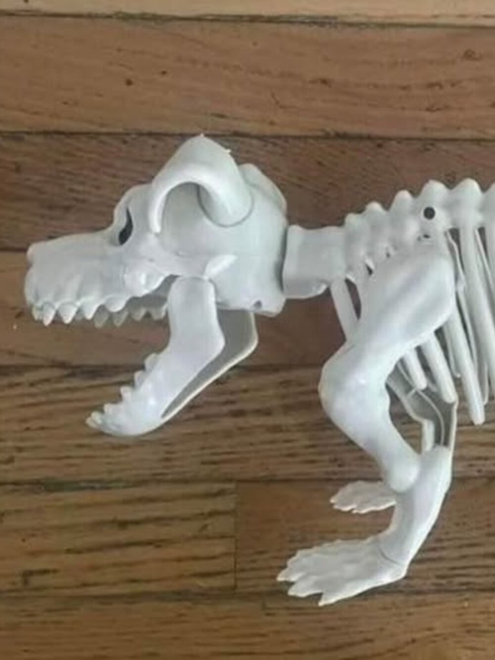 NEW - Skeleton dog with rotating head, moving tail and moving jaw - Halloween